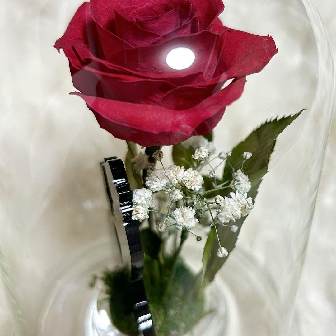 Amazon.co.jp: 日比谷花壇 薔薇 プリザーブドフラワー 美女と